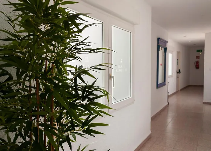 בית הארחה Comercio דניה